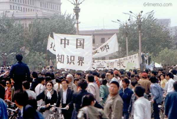 wpId1494.jpg