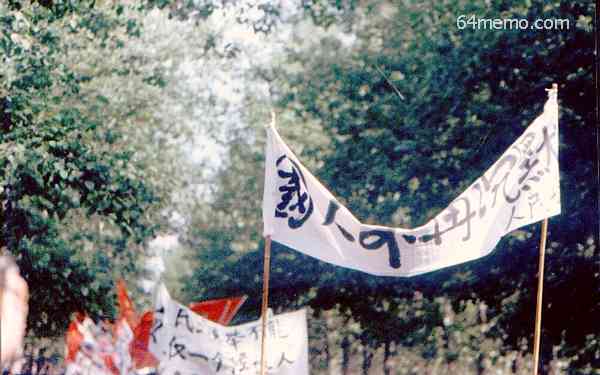 wpId1582.jpg