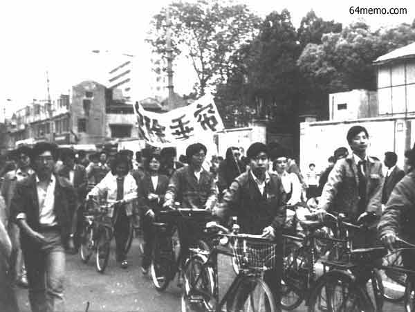 wpId8719.jpg