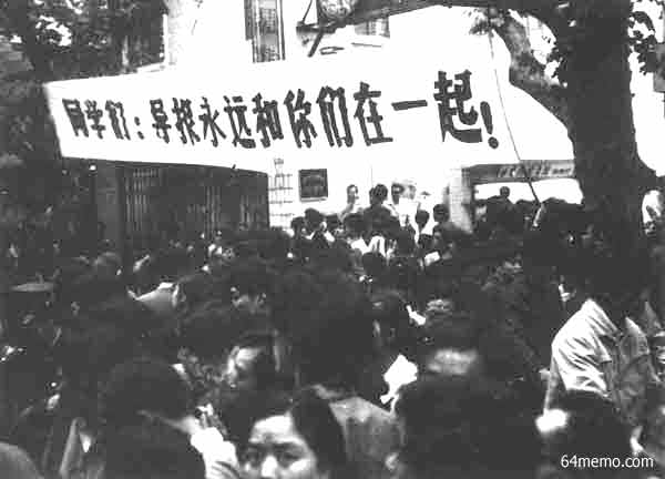 wpId8723.jpg