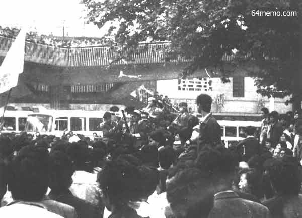 wpId8743.jpg