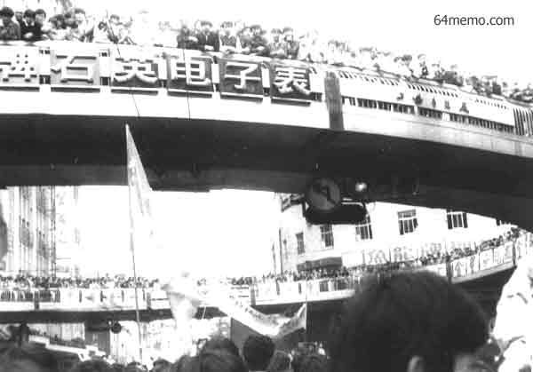wpId8794.jpg