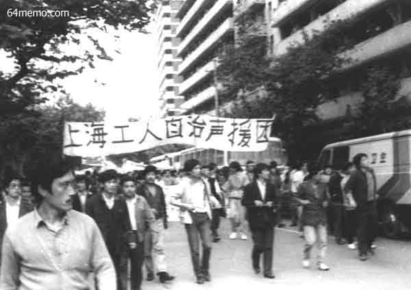 wpId8805.jpg