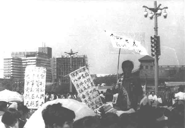 wpId8808.jpg