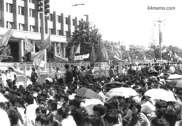 wpId8811.jpg