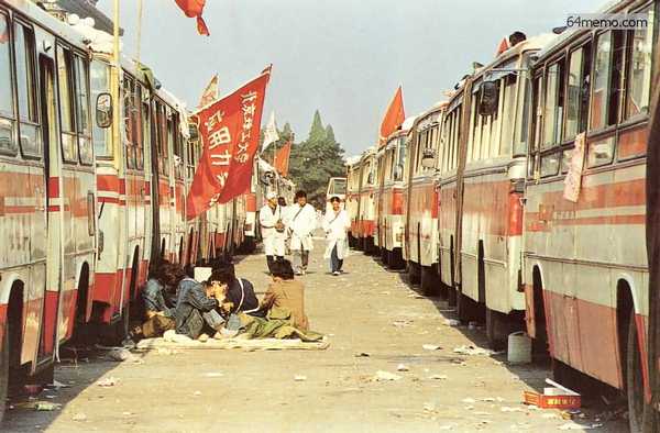 Z097a.jpg