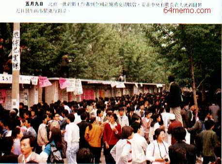 wpId13560.jpg