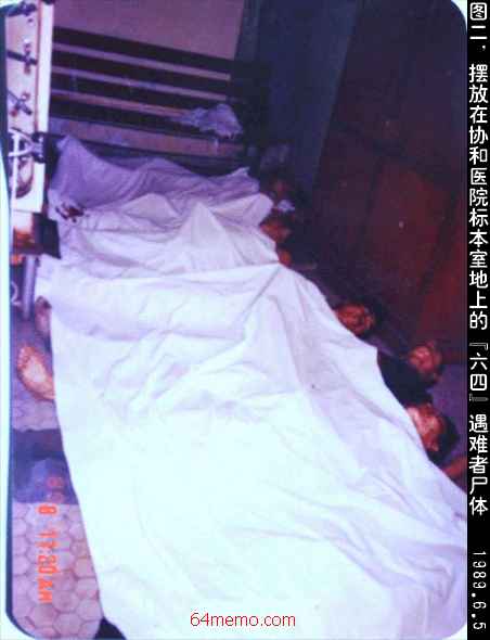 wpId13964.jpg