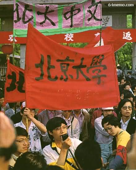 wpId9142.jpg