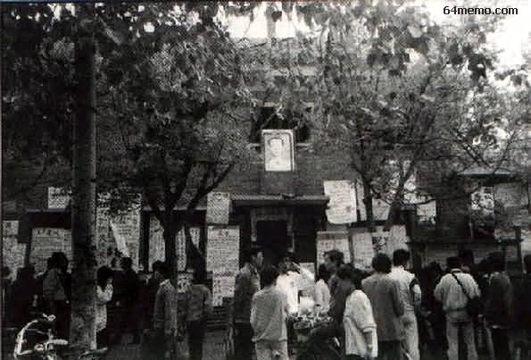 wpId9534.jpg