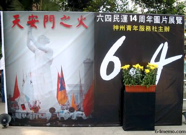 wpId9736.jpg