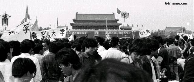 wpId9814.jpg